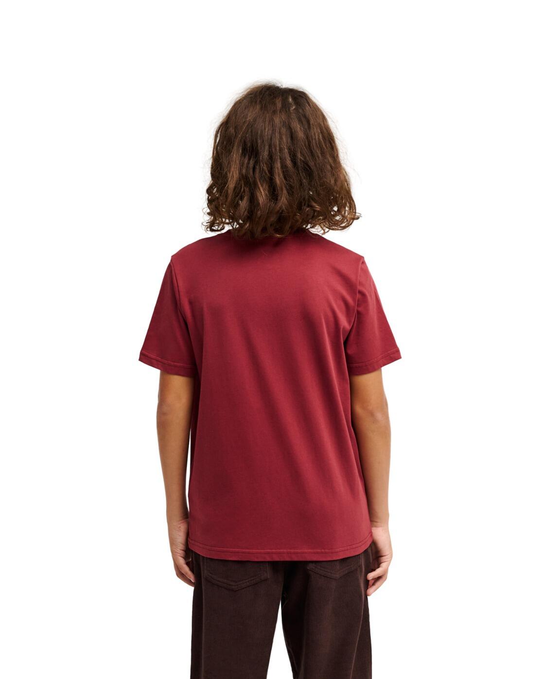 Camiseta de manga corta EV VISTA LOGO Rojo Niño 2/4