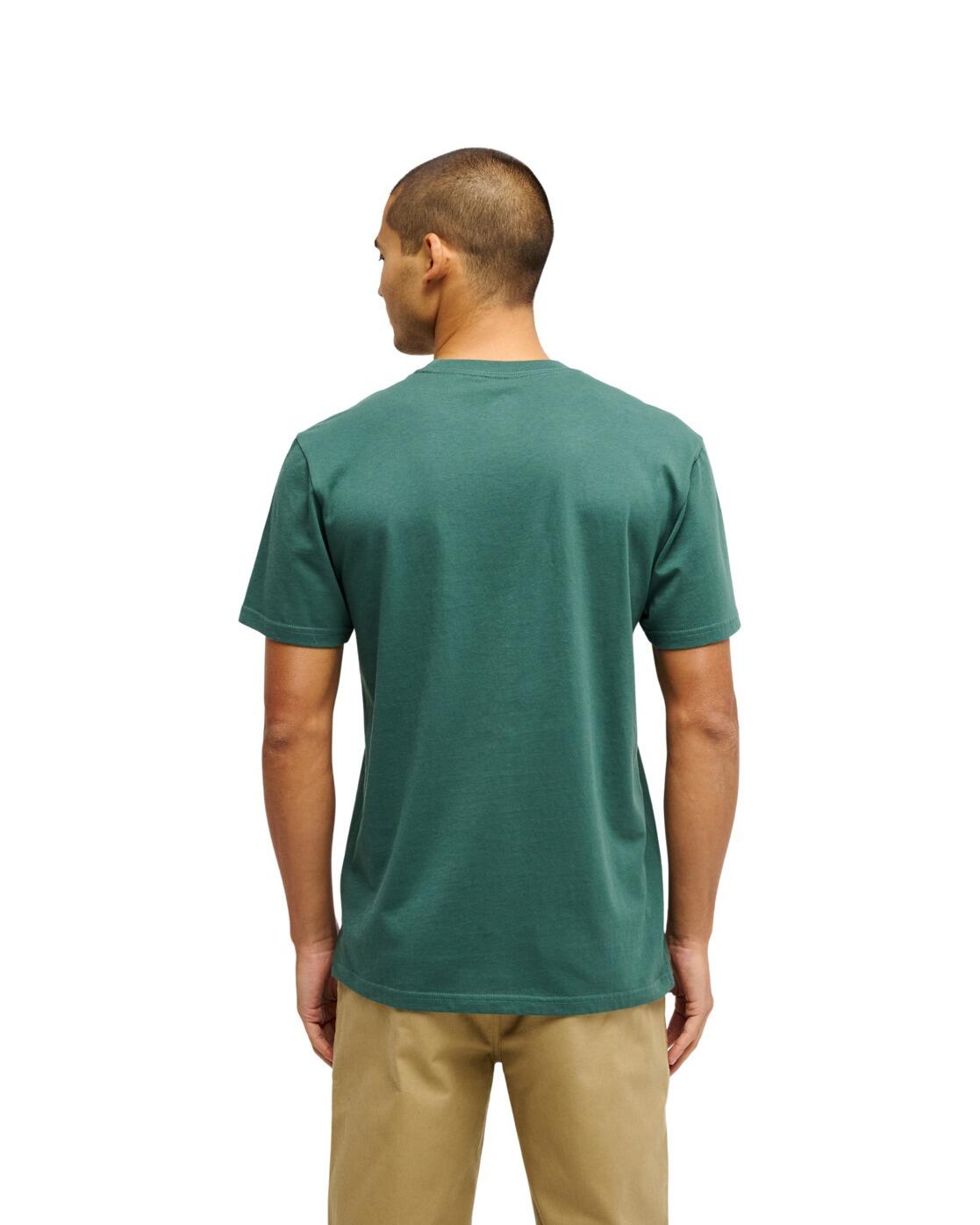 Camiseta de manga corta EV COMP LOGO Verde Hombre 2/4
