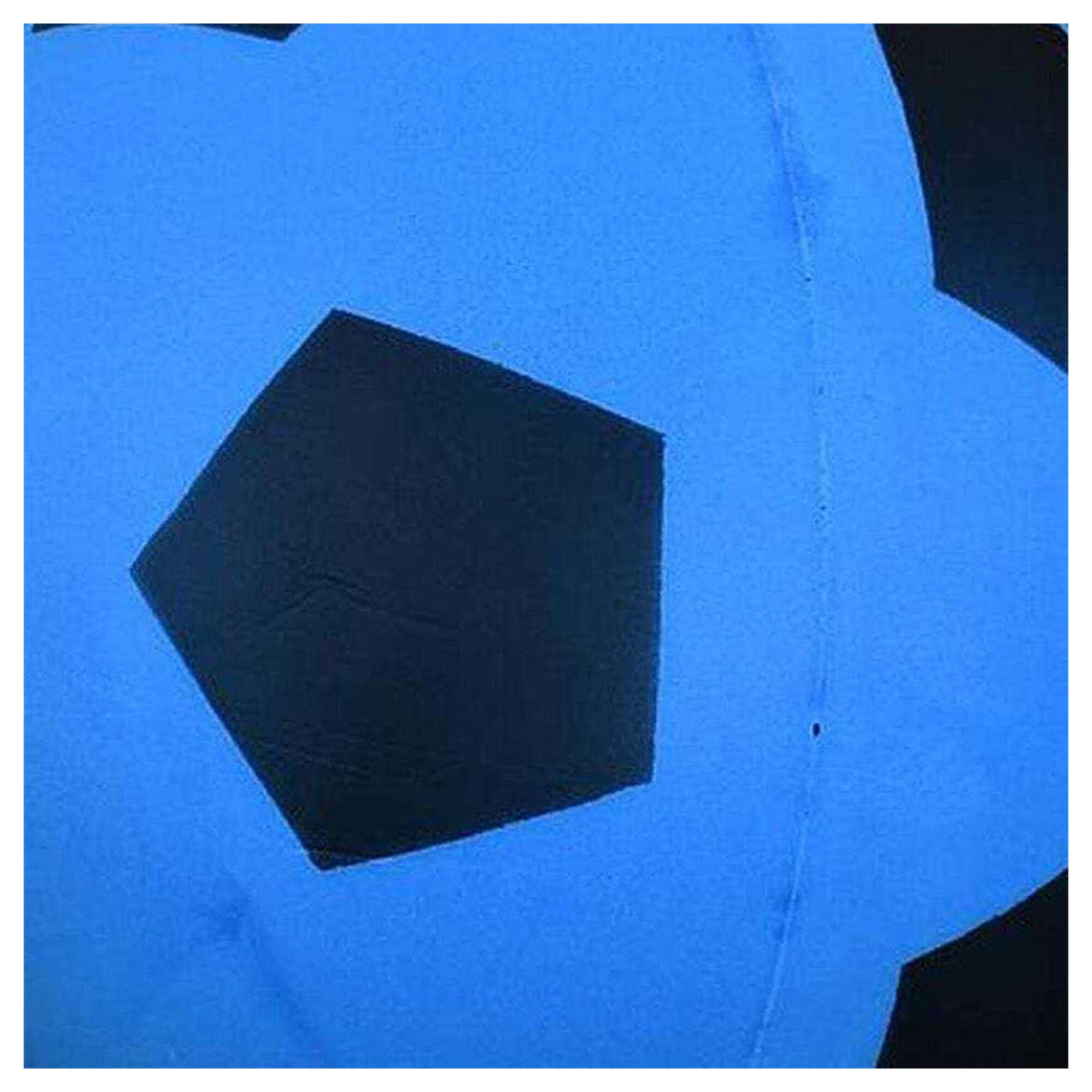 Ballon De Foot (Bleu / Noir) Taille unique 2/2