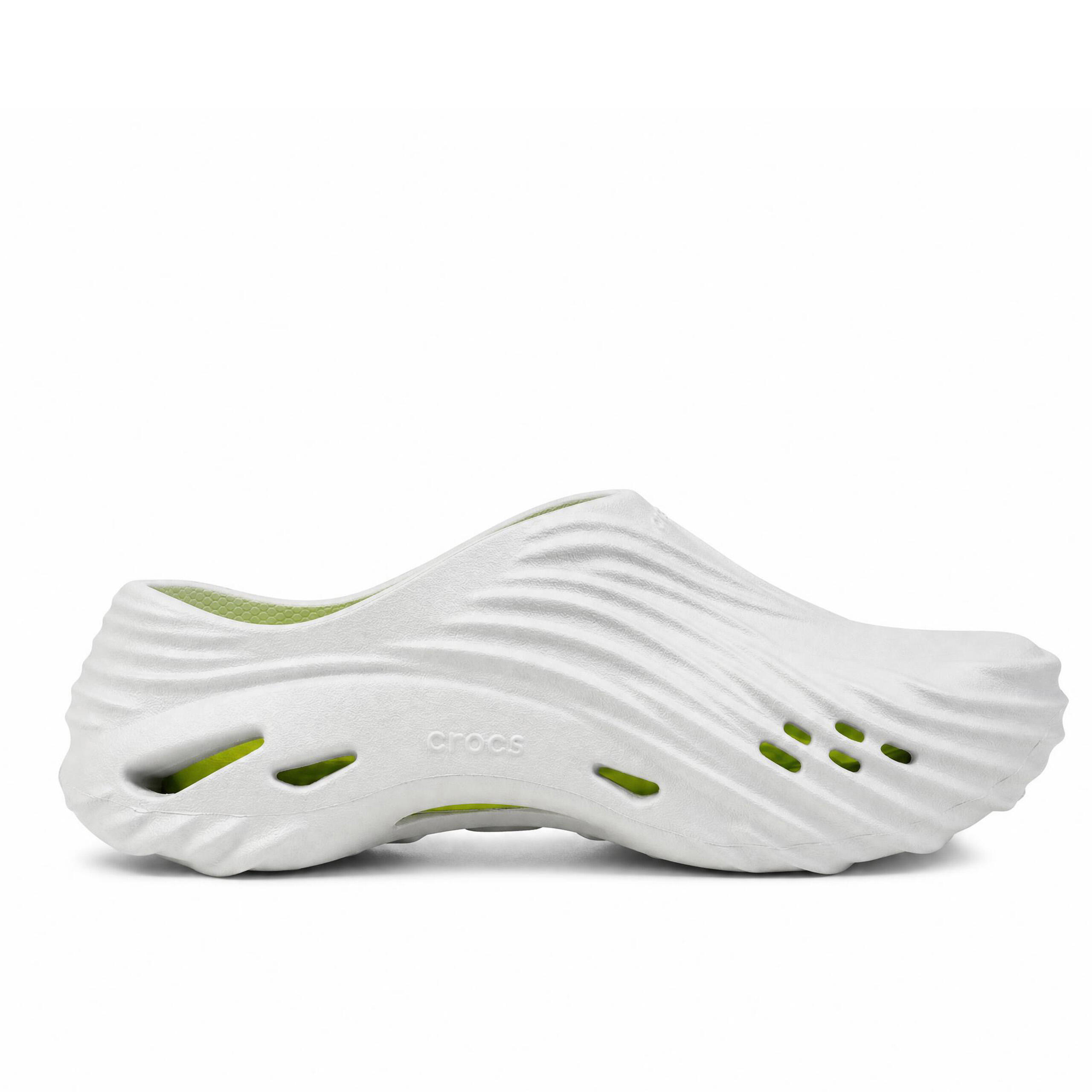 CROCS picture