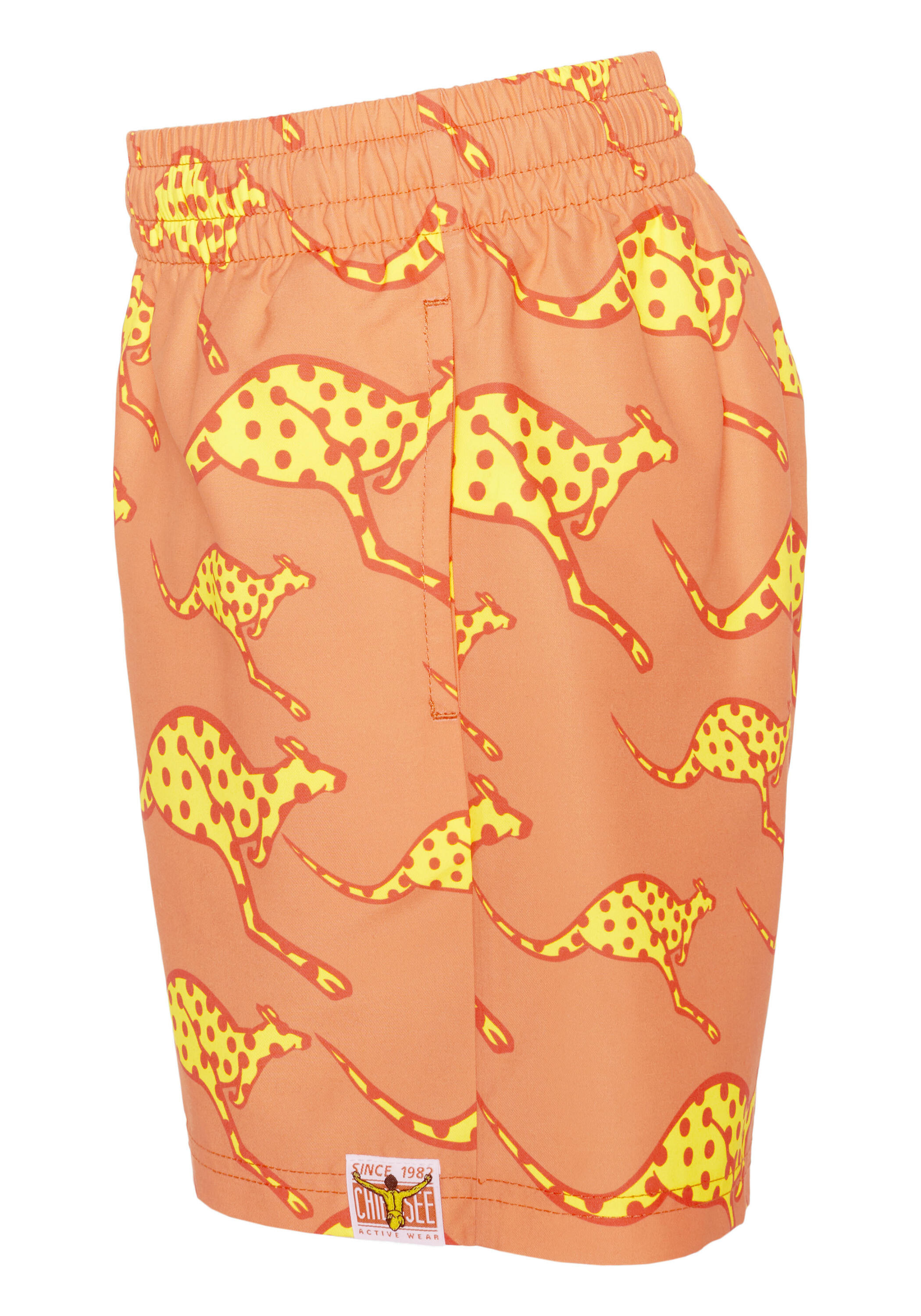 Badehose im angesagtem Alloverprint 3/3