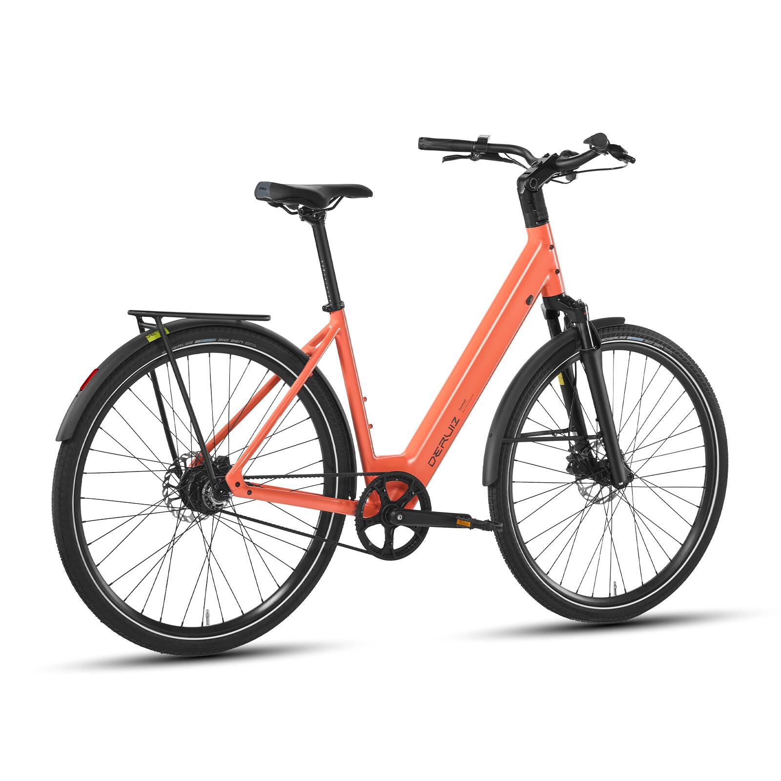 Bici elettrica Turmali Comfort 250W 36V 10Ah cinghia GATES 2/8