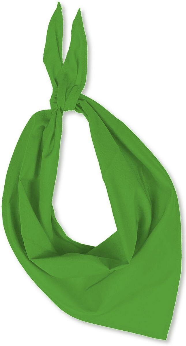 FOULARD VERT Sporti 1/1