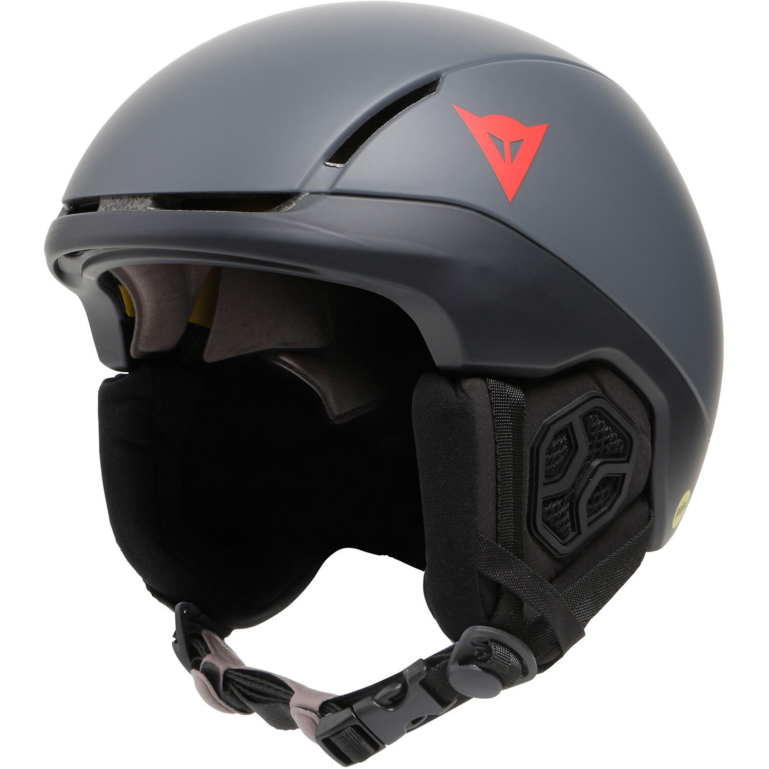 DAINESE picture