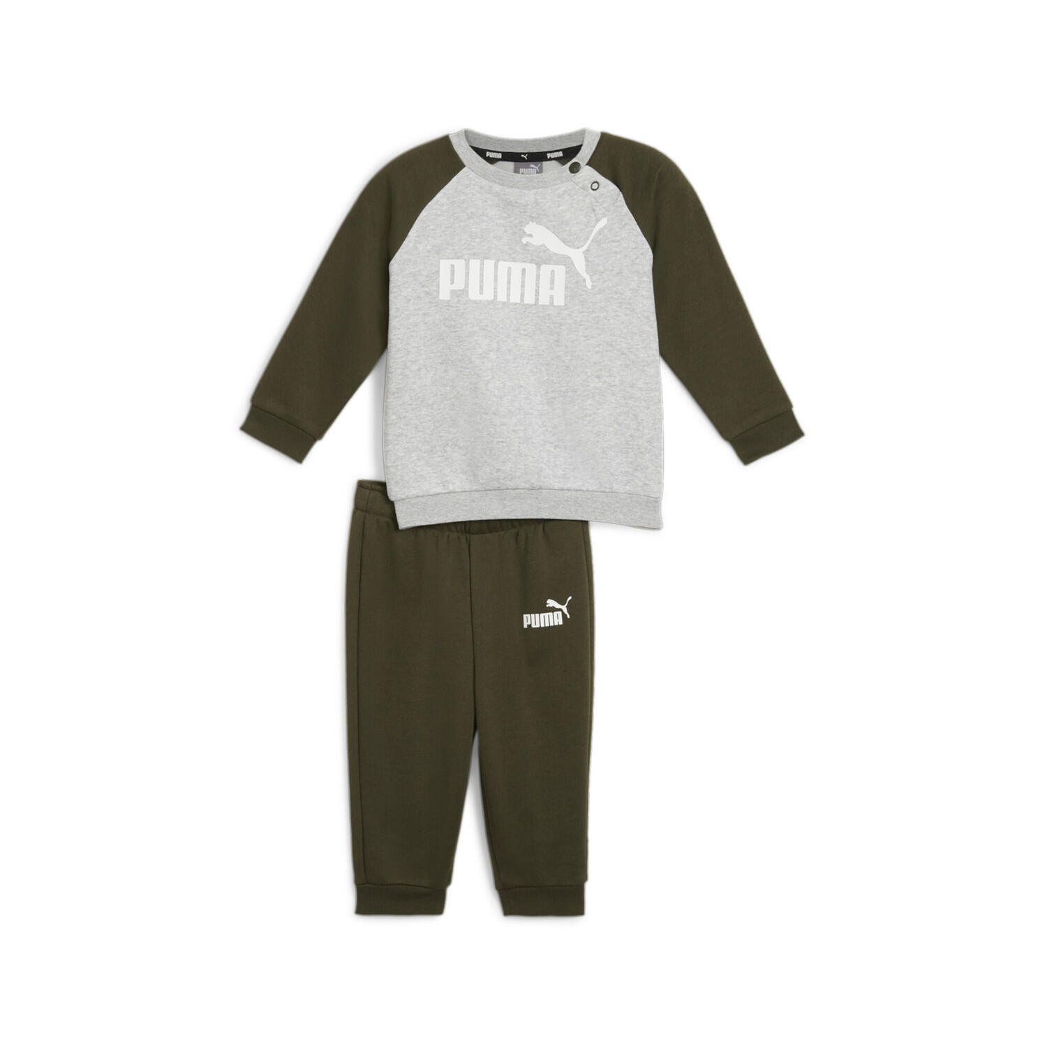 PUMA picture