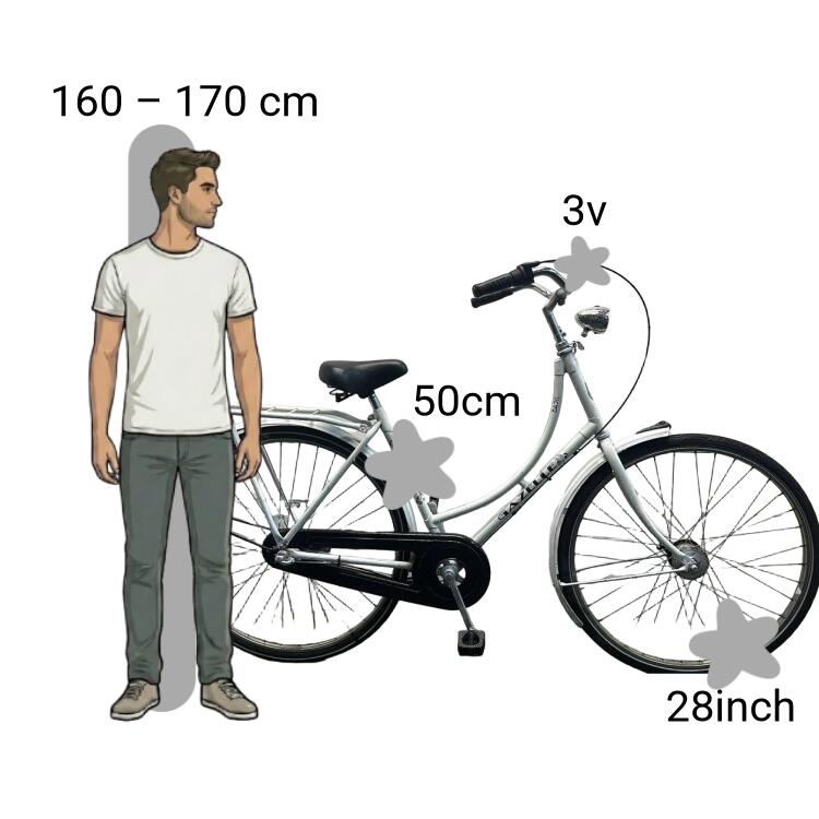 Bicicleta usada Gazelle Basic 2/4