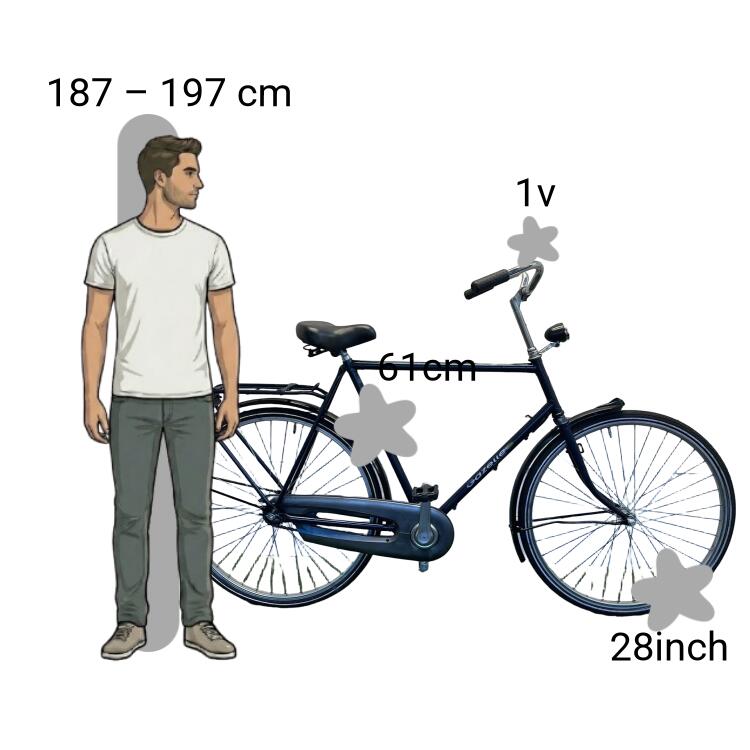 Bicicleta usada Gazelle 2/4