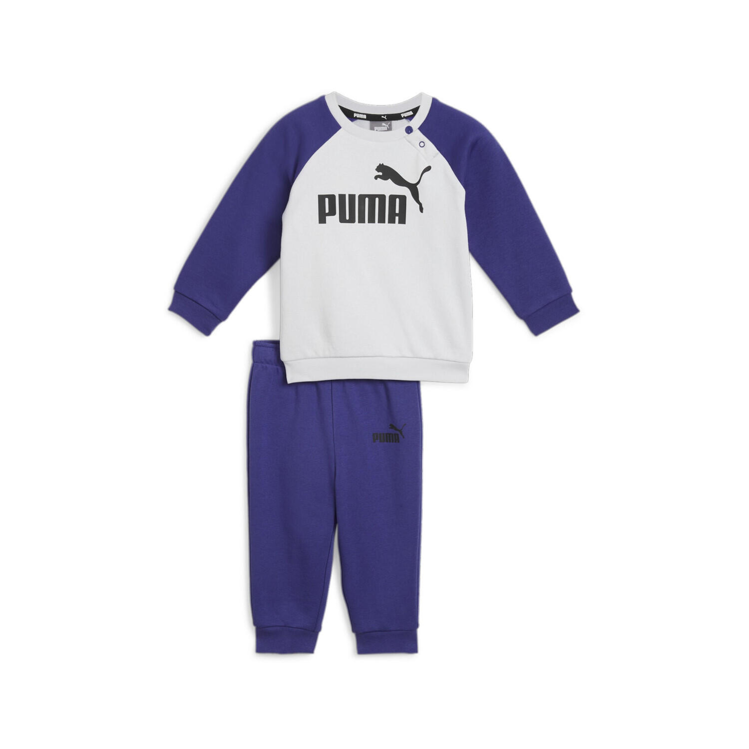 PUMA picture