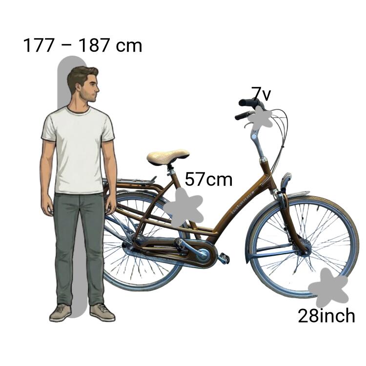 Vélo d’occasion Batavus Mambo 2/4