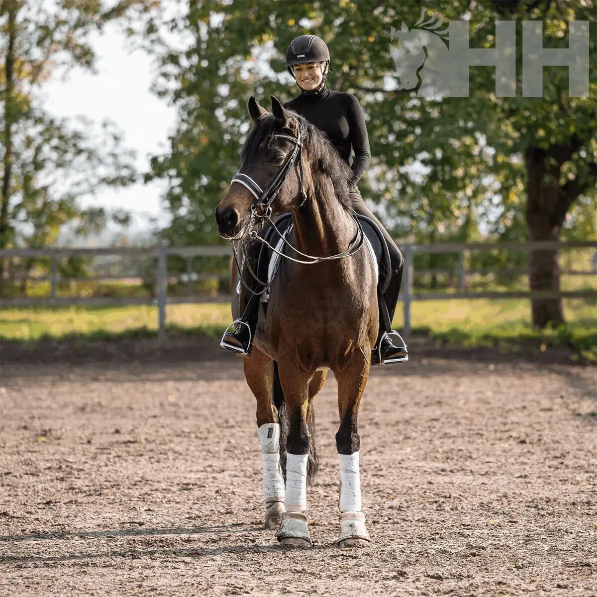 Mors inglés para caballo Sprenger Basic 3/4