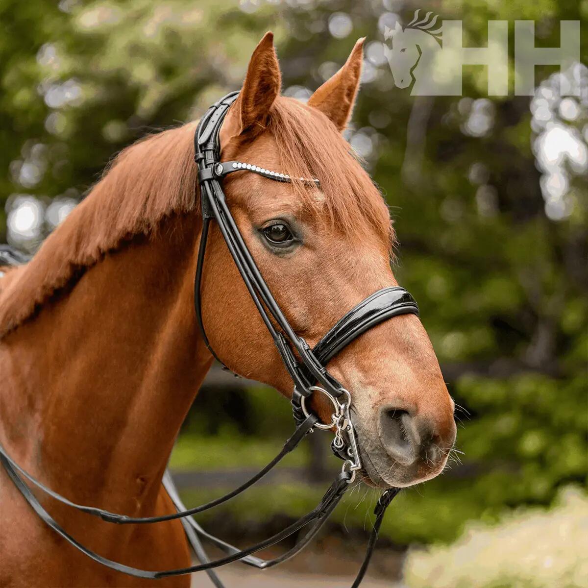 Aurigan dressuurstang kk korte scharen sprenger 3/4