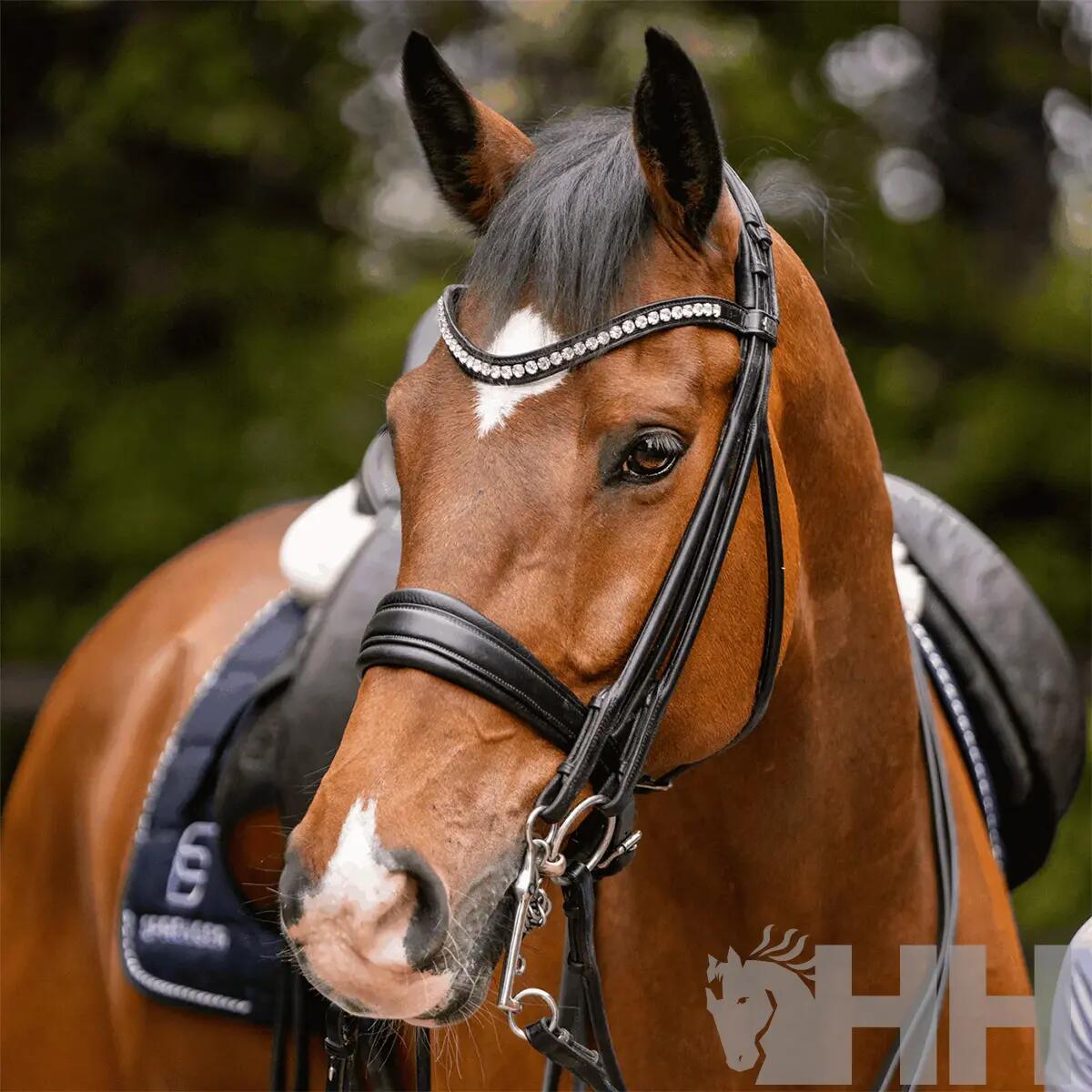 Mors inglés para caballo Sprenger Basic 4/4