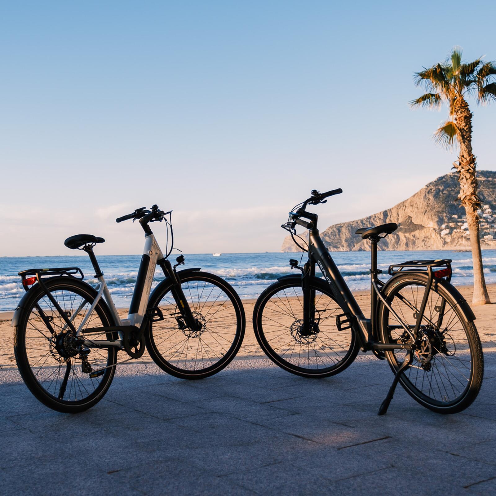 Quartz Bicicleta Eléctrica 28" 250W Sensor de Par Batería 644Wh Autonomía 161 km 10/13