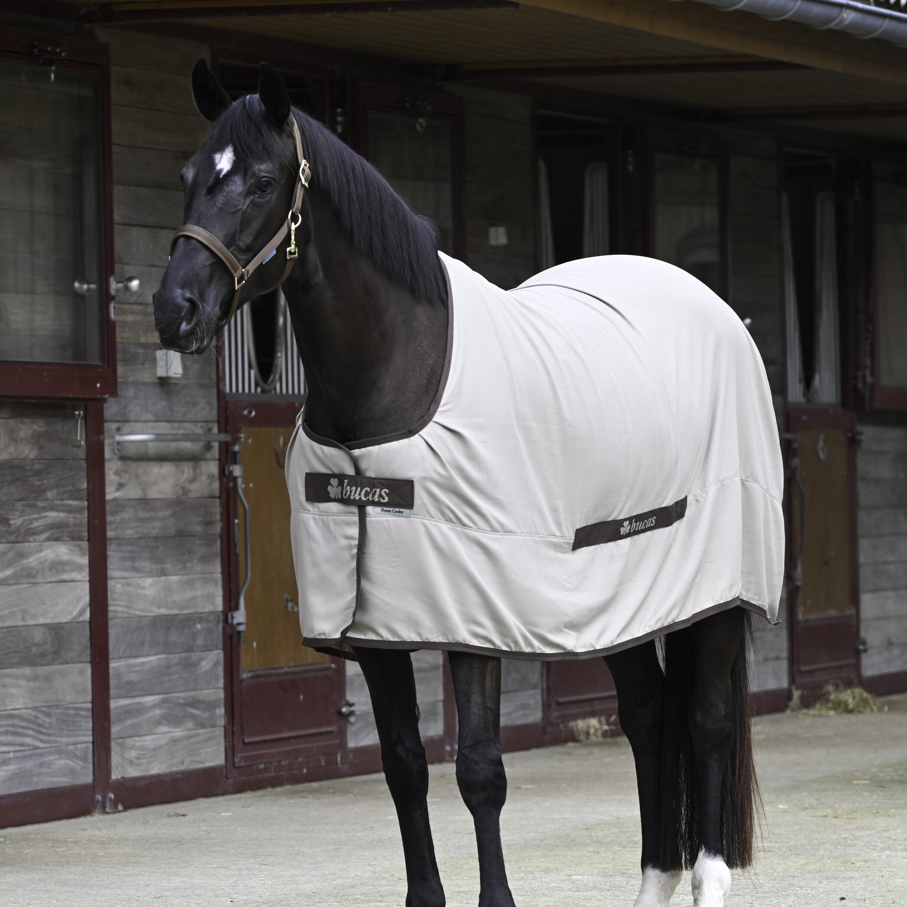 Linnen staldeken voor paarden Bucas Cool 2/2