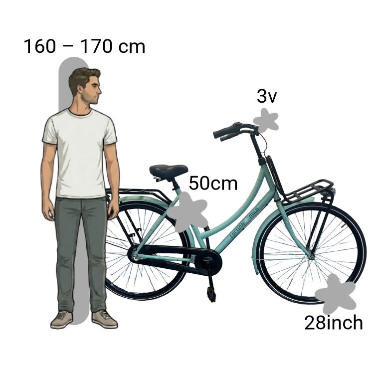 Bicicleta usada Cortina Milo 2/4