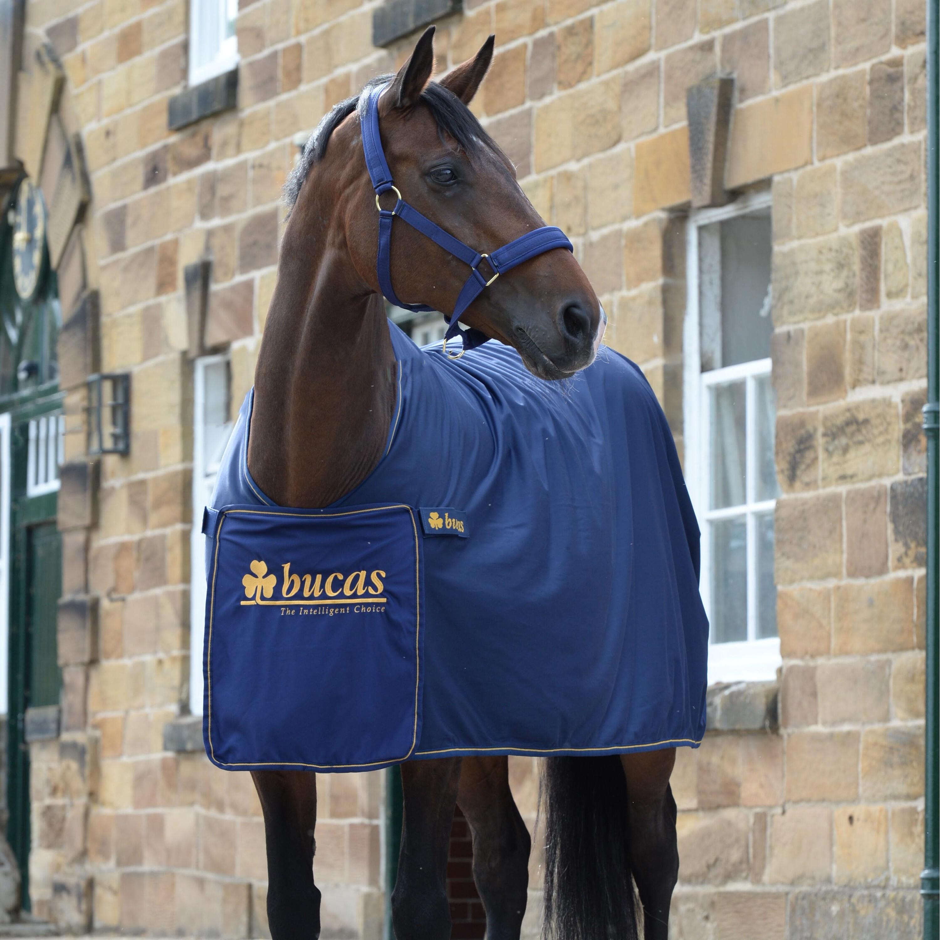 Outdoor paardendeken Bucas Panel Prize Cooler 135g 2/3
