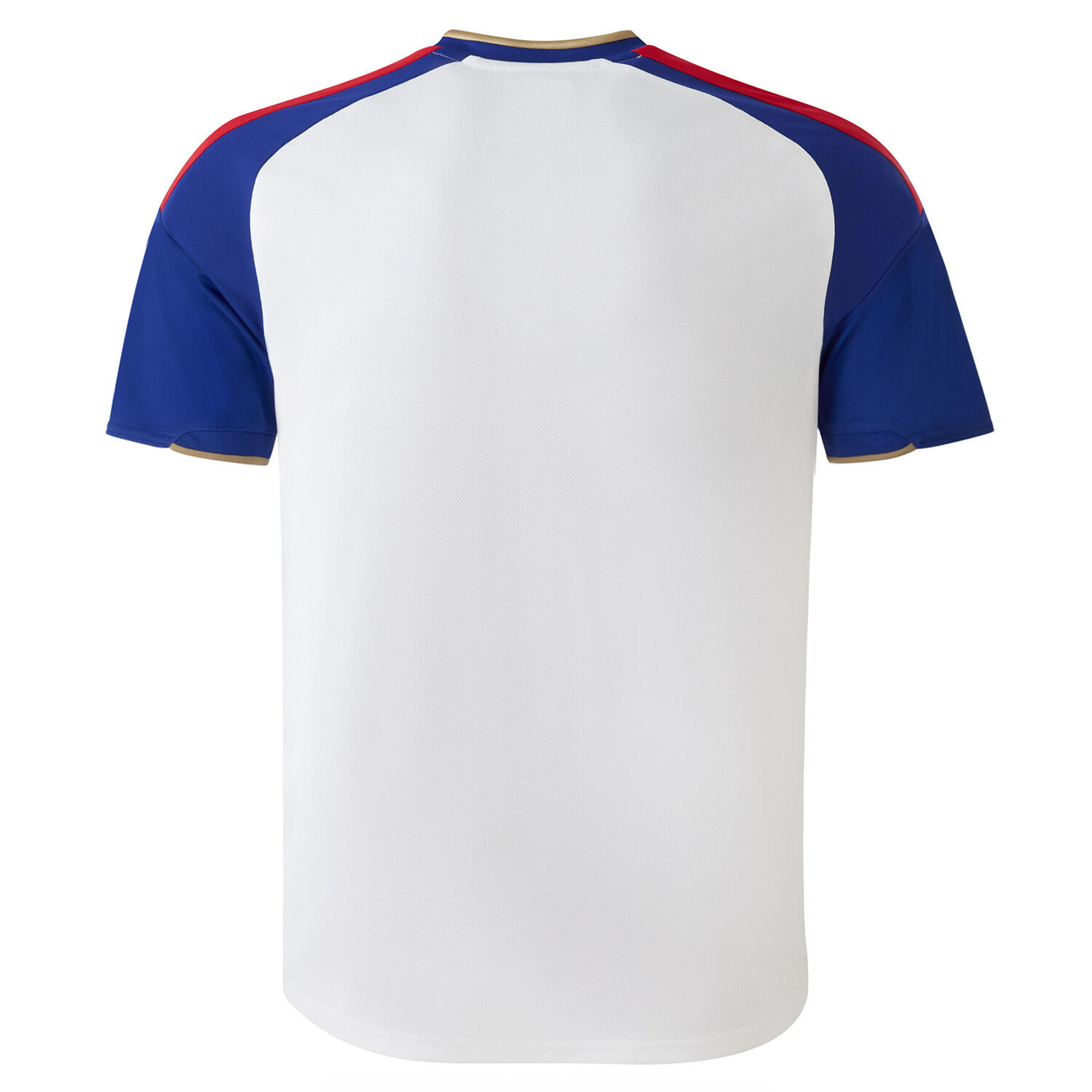 Maillot Domicile Homme OL Lyonnes 26-27 3/5