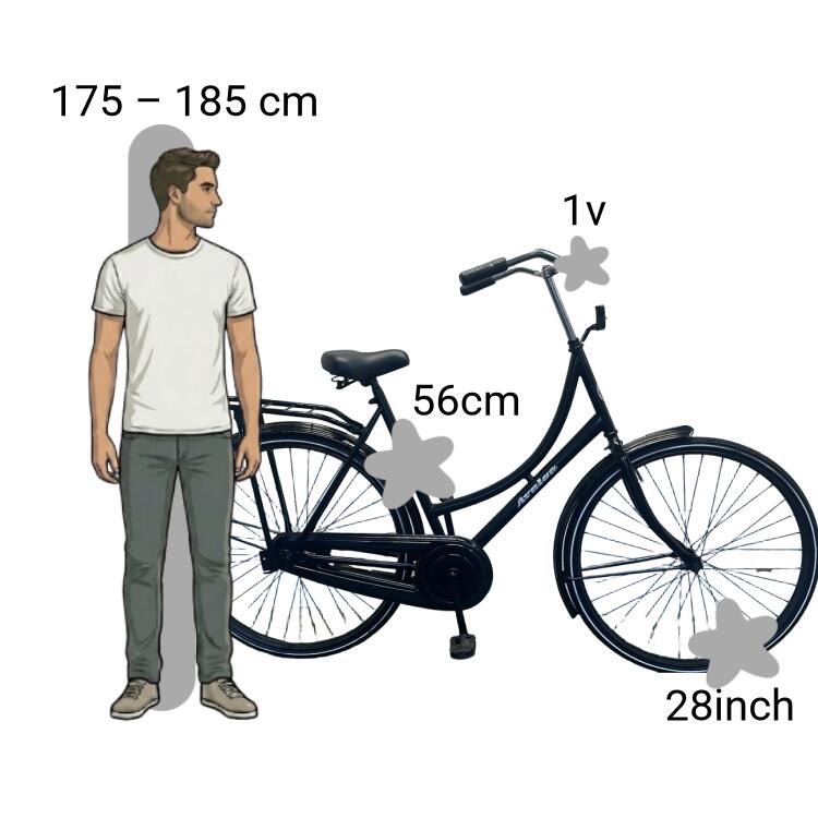 Bicicletta usata Avalon 2/4