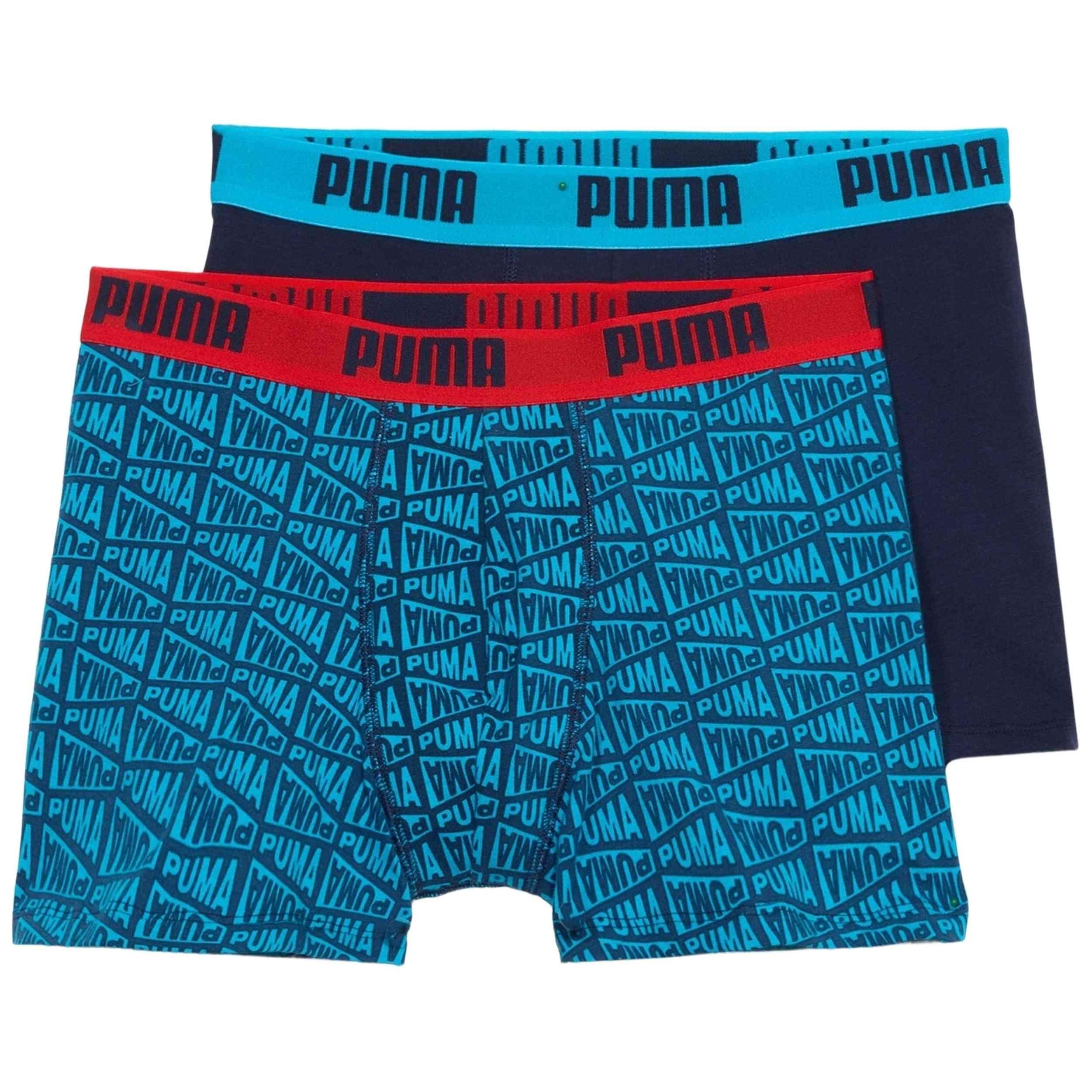PUMA picture