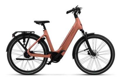 Vyber xcitemnt 53 cm electric peach - shimano nexus, gates belt drive