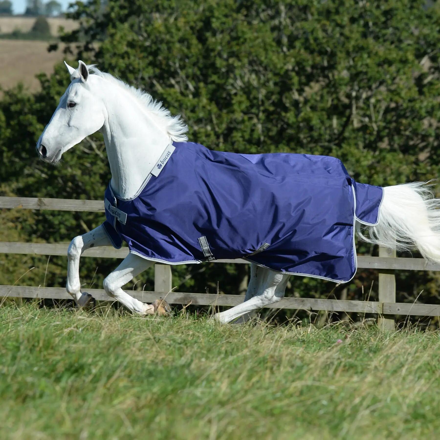 Paardendeken Bucas Atlantic Combi 50g 3/3