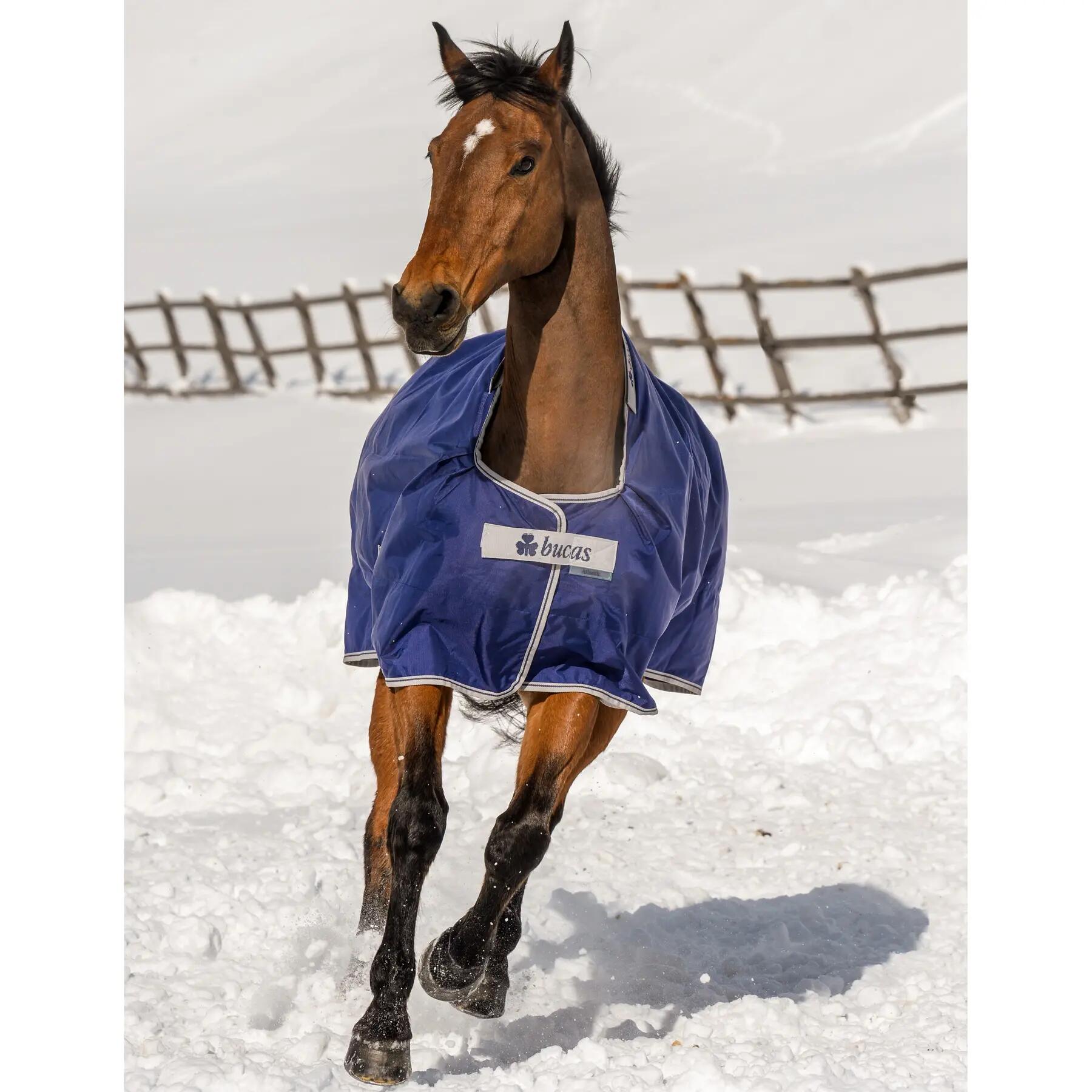 Paardendeken Bucas Atlantic Combi 50g 2/3