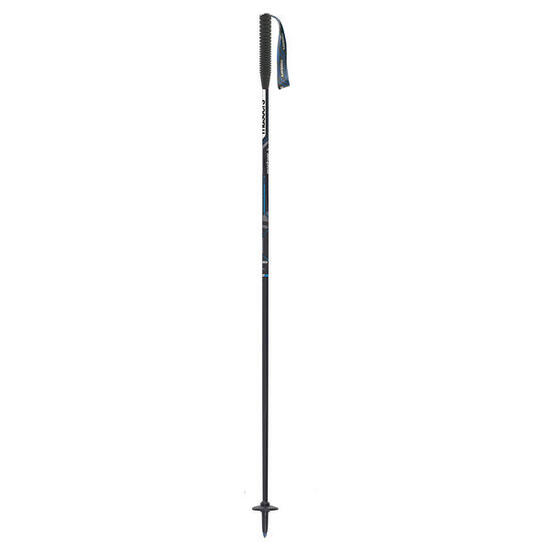 Kije trekingowe Masters SASSOLUNGO Carbon CARBON/SKY BLUE