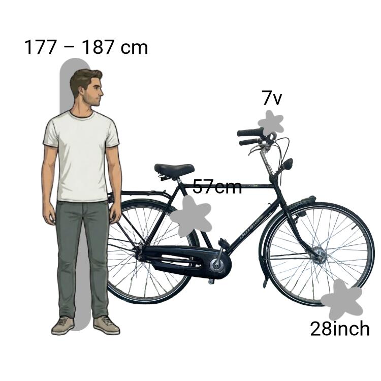 Bicicletta usata Gazelle Impala 2/4