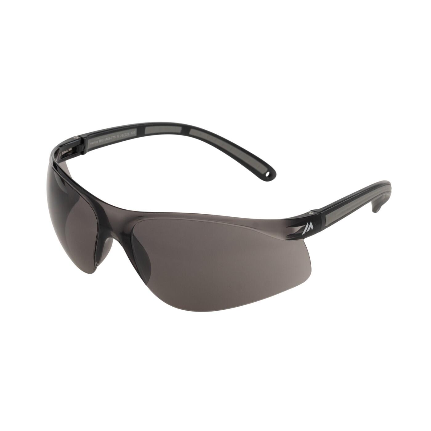 Lunettes De Soleil BICI (Noir / Fumée) 2/4