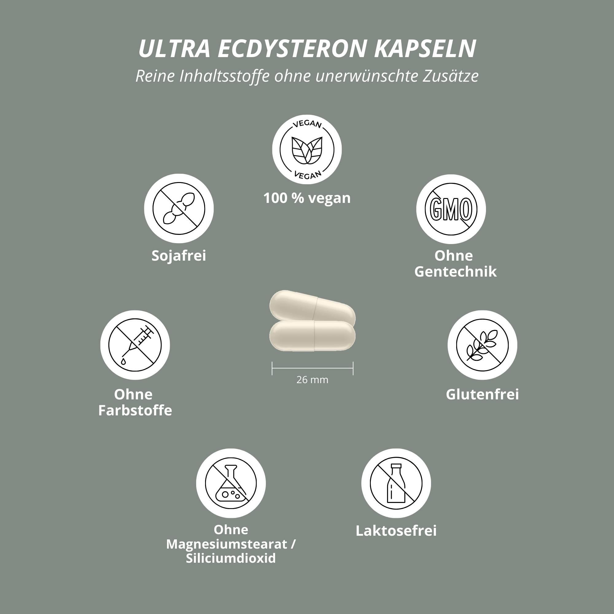 Ultra Ecdysteron - 60 Kapseln 4/5