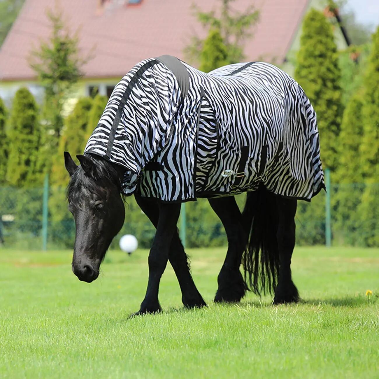 Couverture anti-mouches pour cheval zèbre avec couvre-cou York 2/2