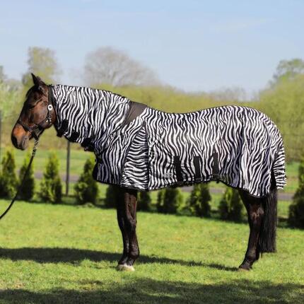 Fliegendecke für Pferd Zebra mit Halsteil York