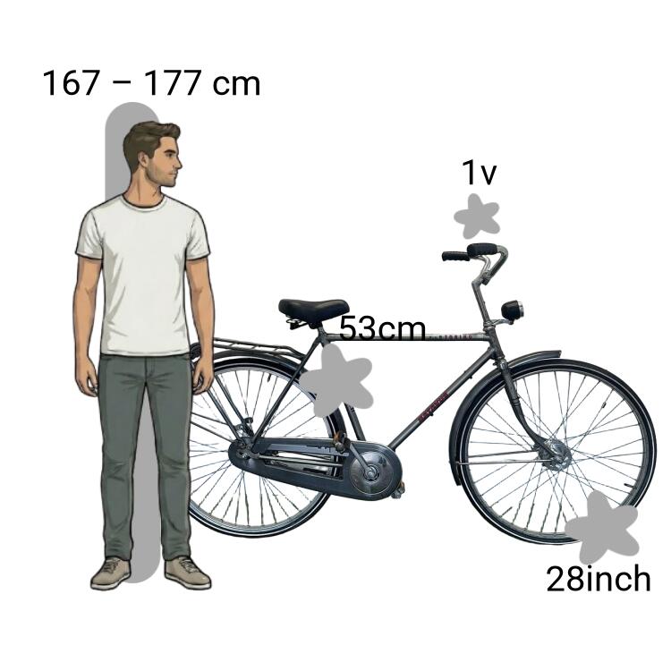 Bicicleta usada Batavus Torino 2/4