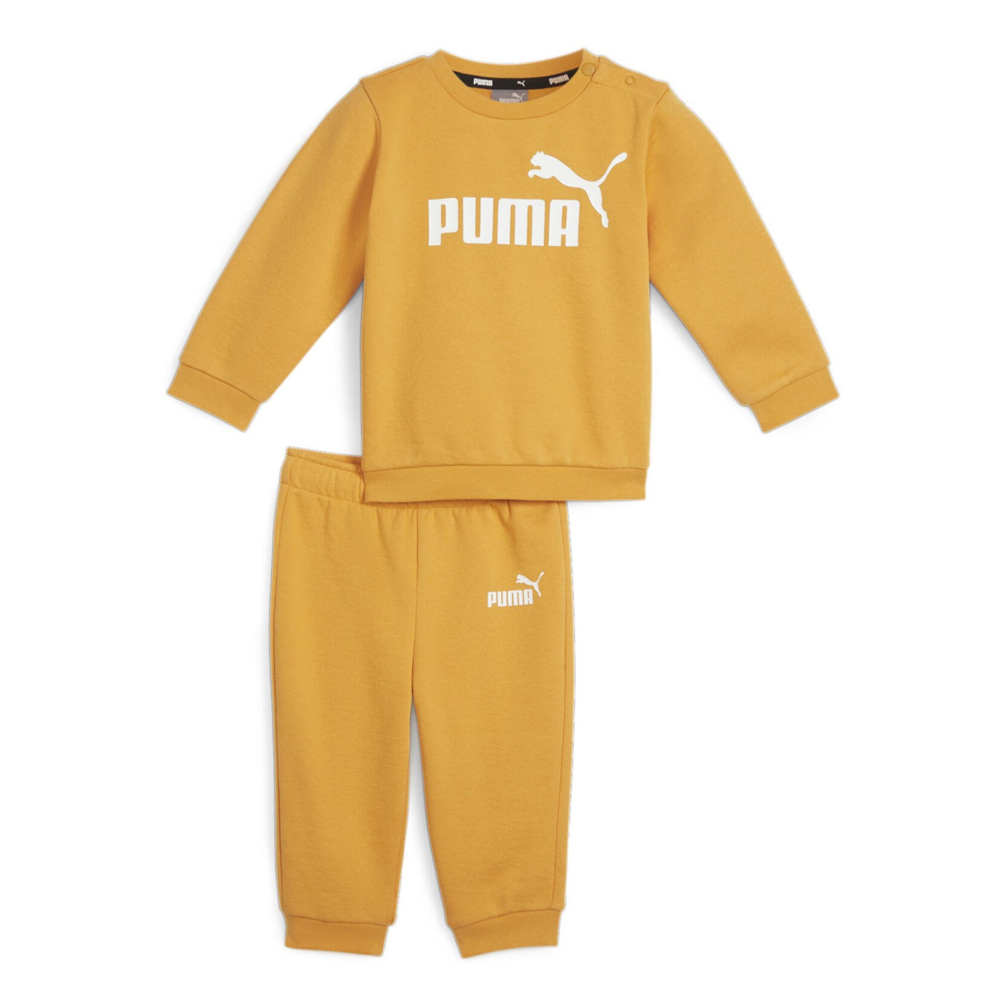 PUMA picture
