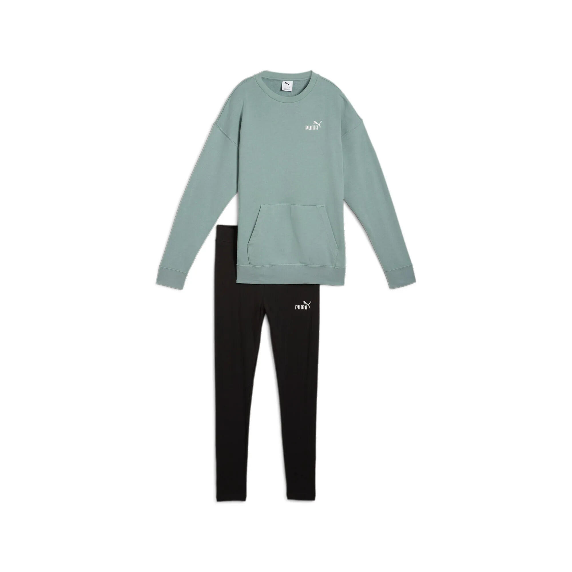 PUMA picture