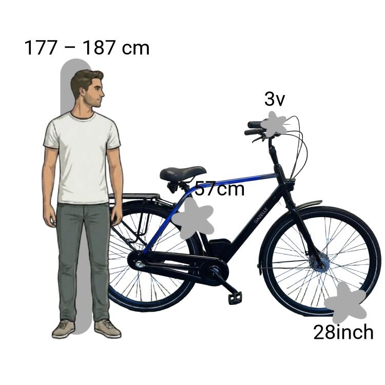 Bicicleta usada Gazelle City Go 2/4