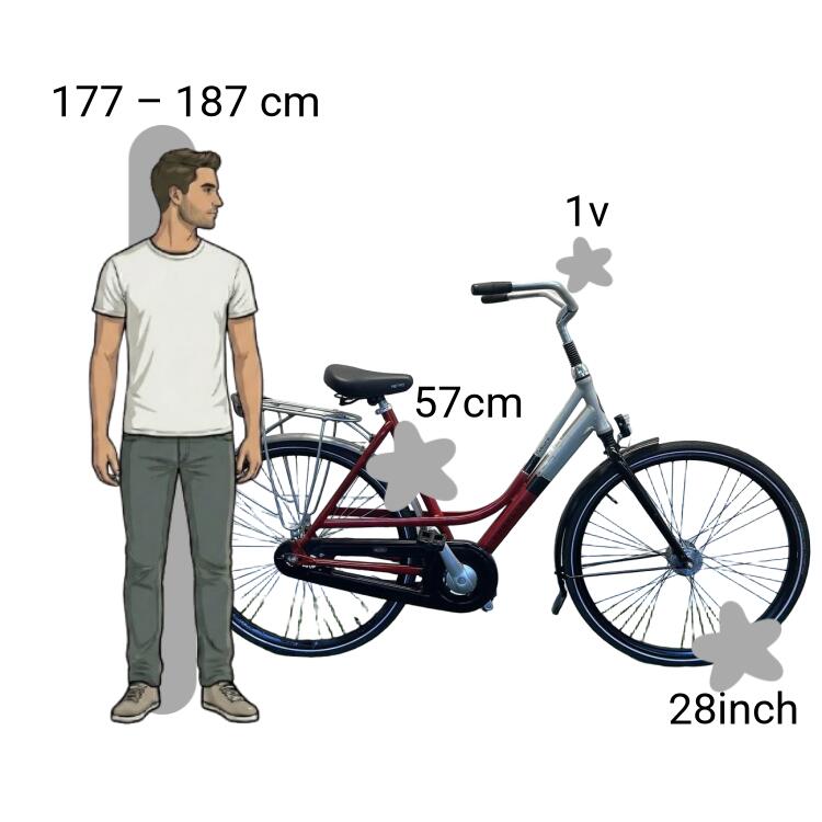 Bicicletta usata Gazelle Nature 2/4