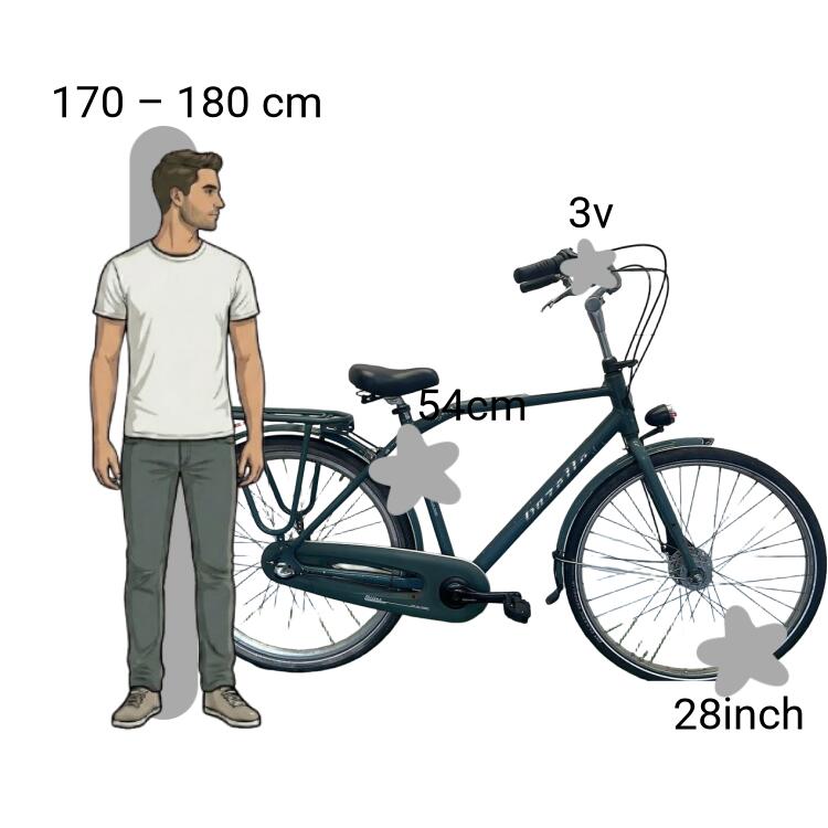 Bicicleta usada Gazelle Miller 2/4
