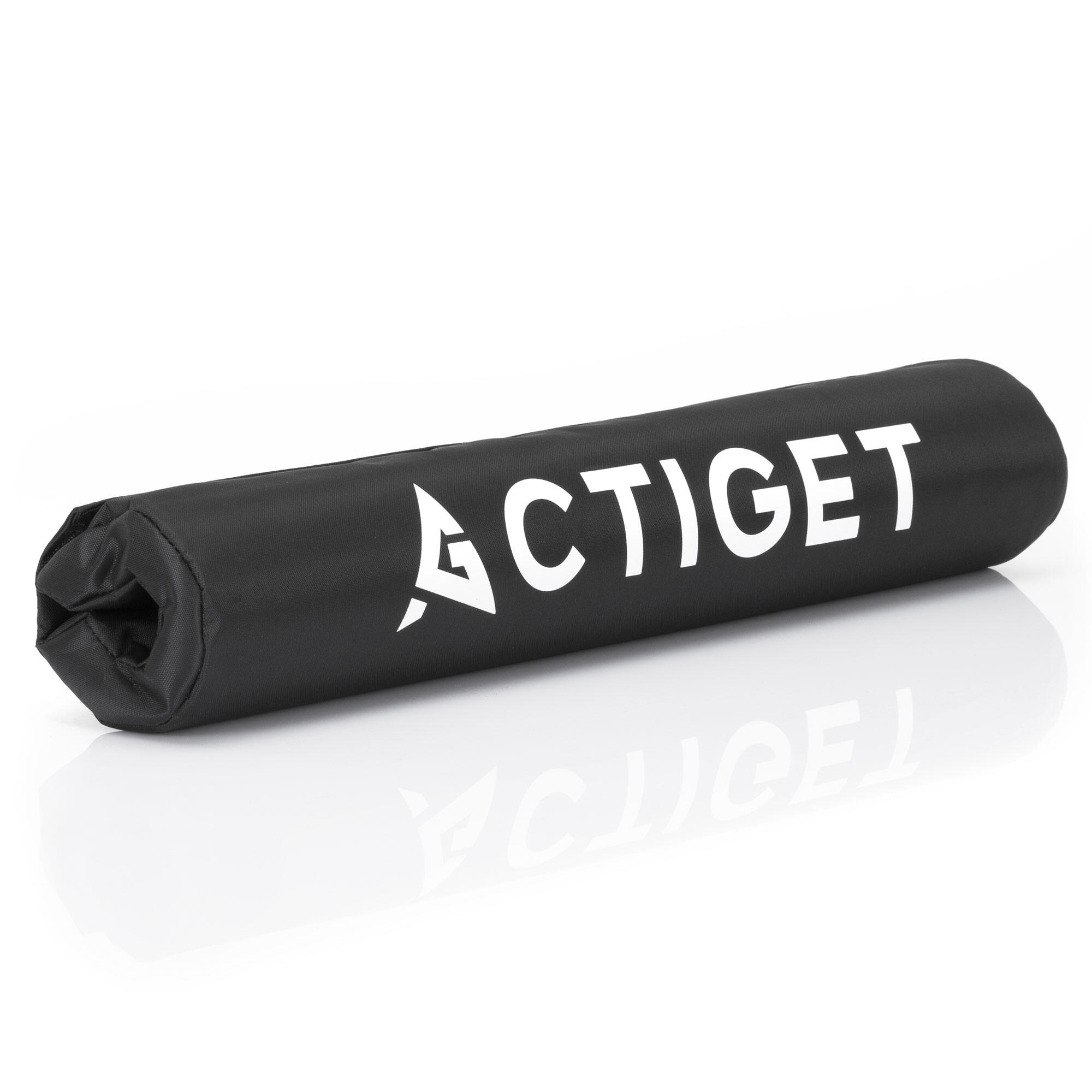 ACTIGET picture