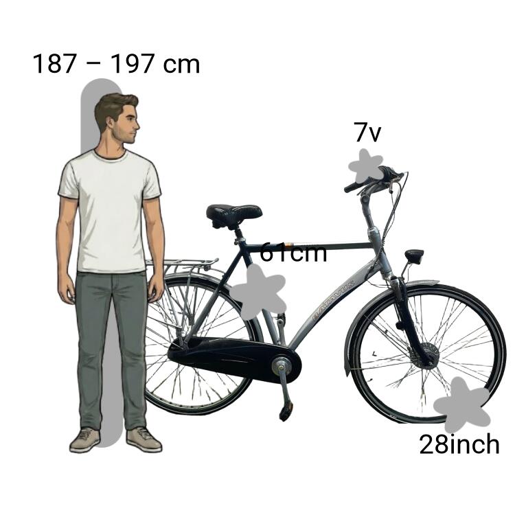 Bicicleta usada Batavus Weekend 2/4