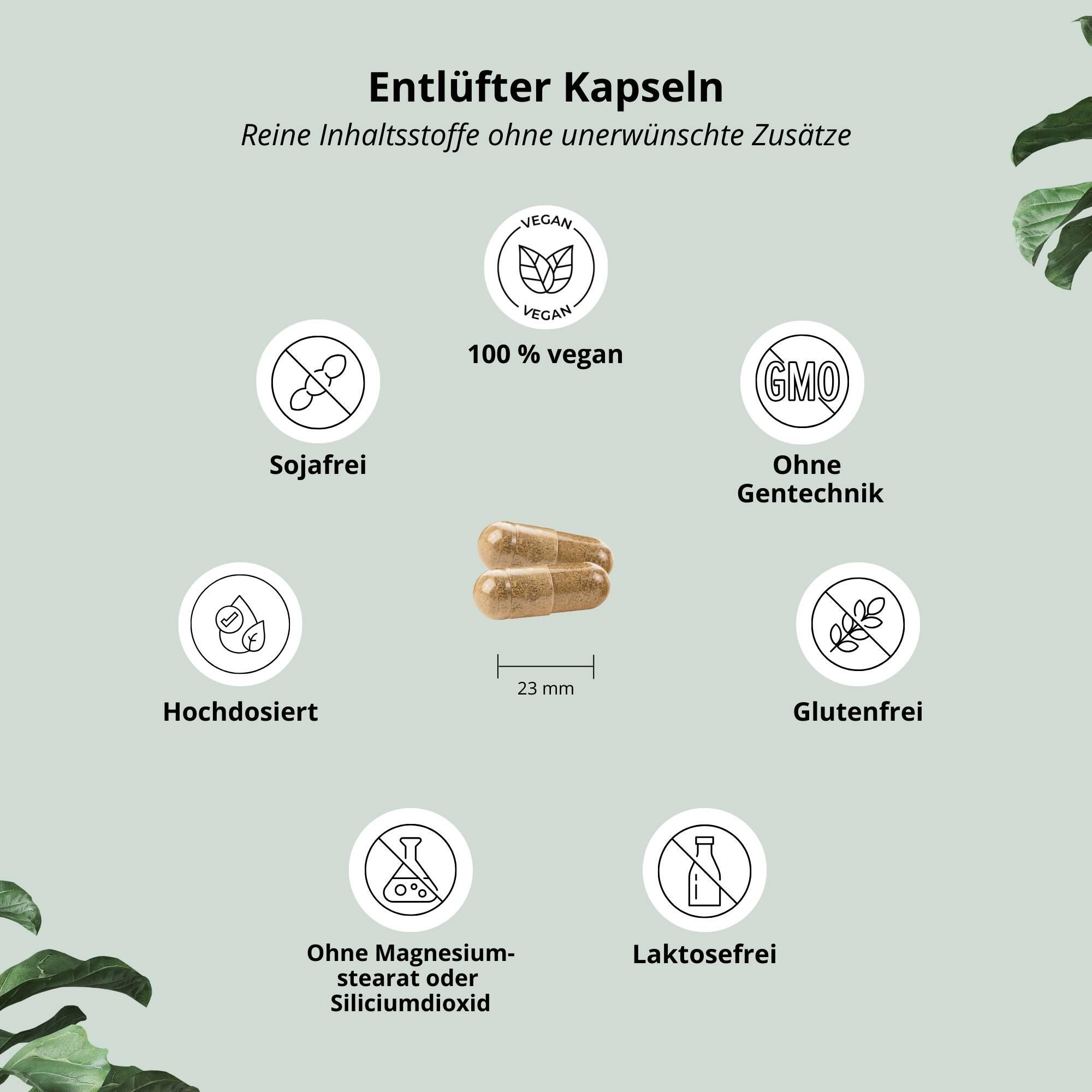 Entlüfter - pflanzliche Magen-Darm-Kapseln - 120 Kapseln 4/5