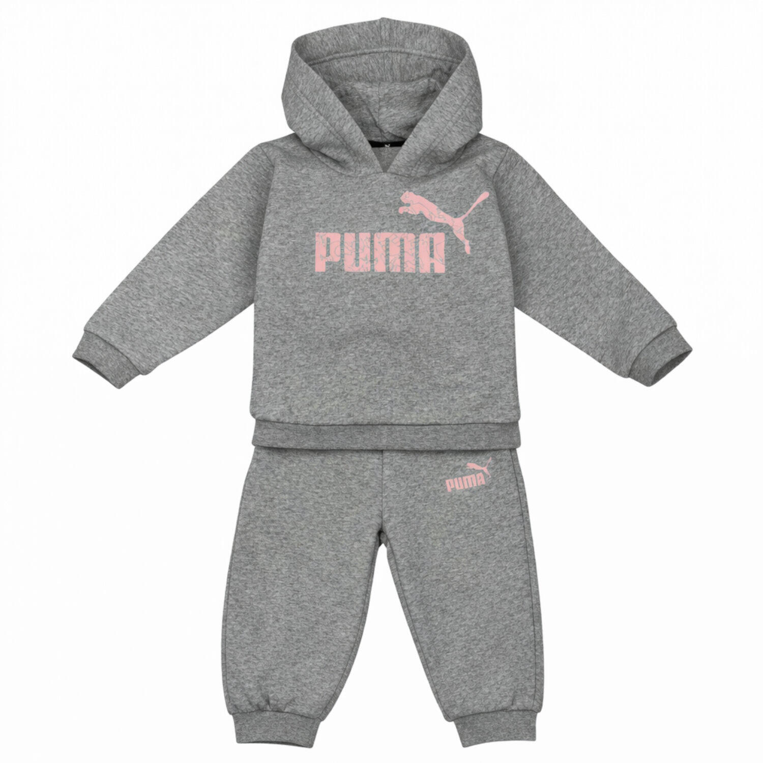 PUMA picture