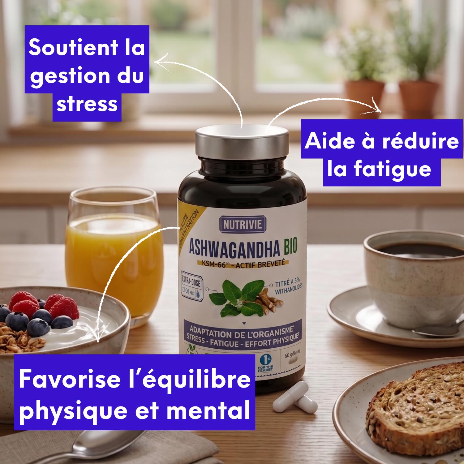 Ashwagandha 60 gélules – Gestion du Stress et Récupération Physique 2/5