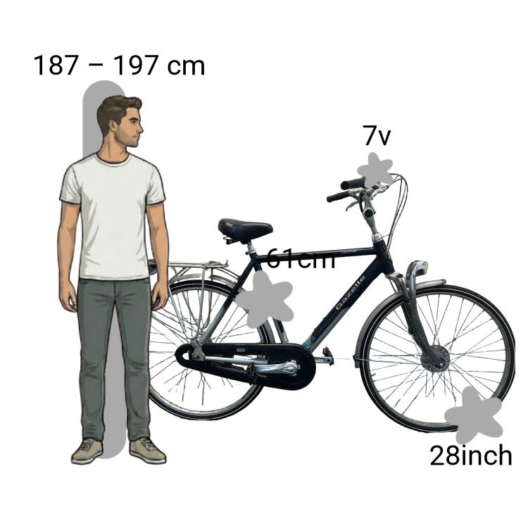 Bicicletta usata Gazelle Orange 2/4