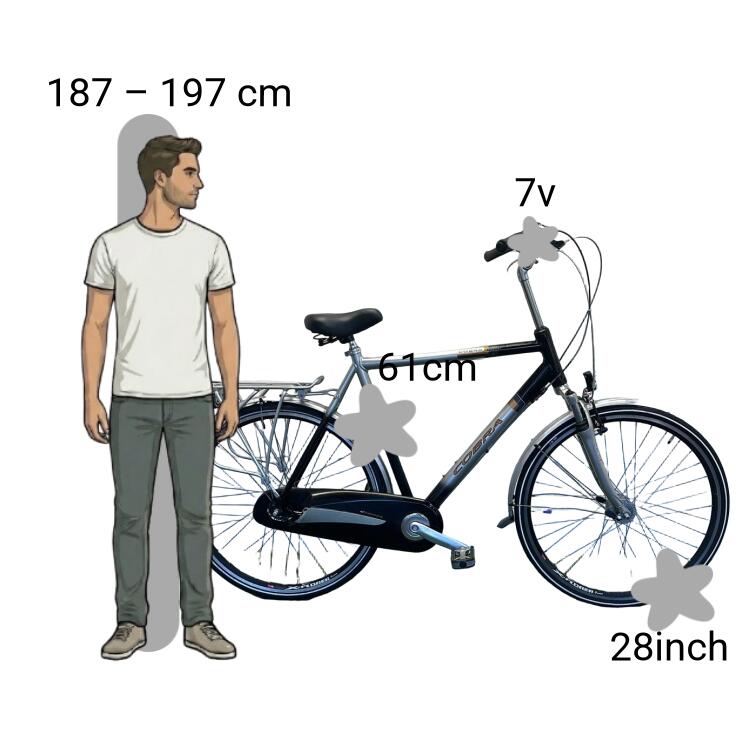 Bicicleta usada Cobra Trekking 2/4