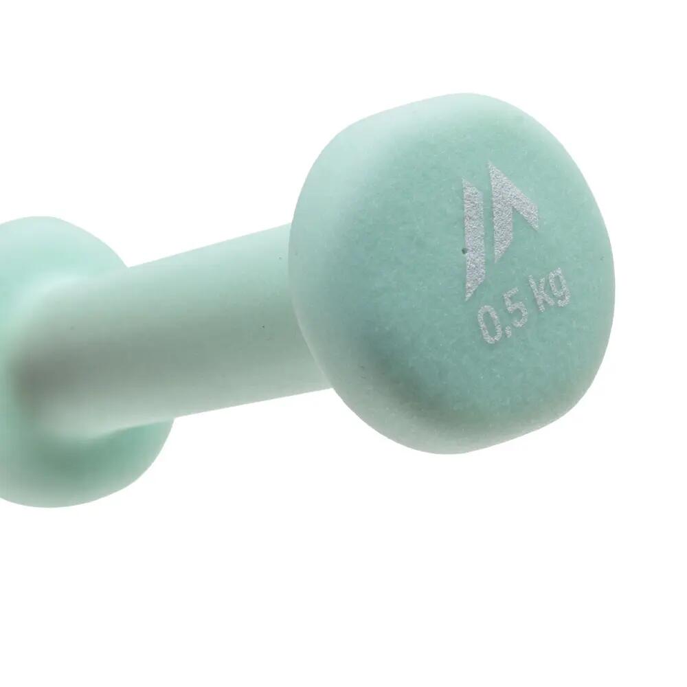 Dynamos Dumbbell (Mint) 3/3