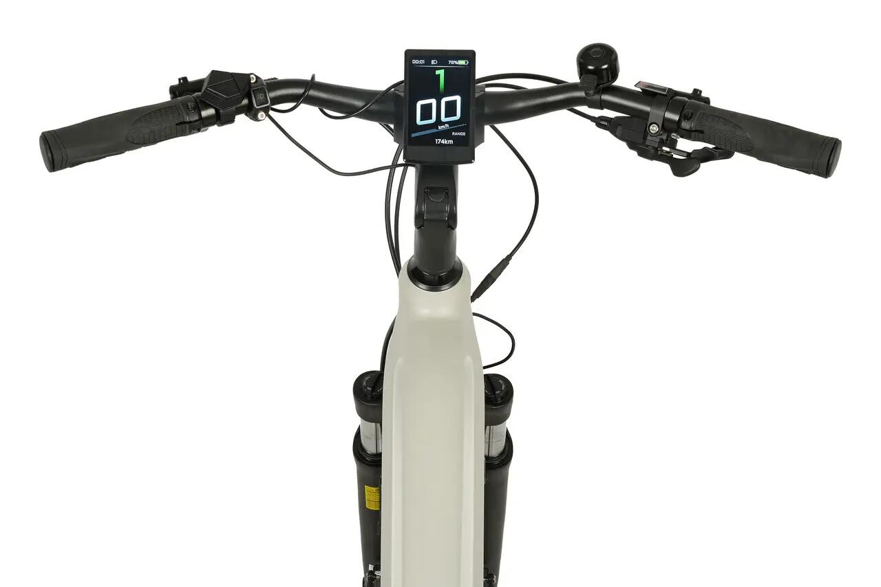 Prophete E-Bike Entdecker 5.0 28" Diamant RH54 5/6