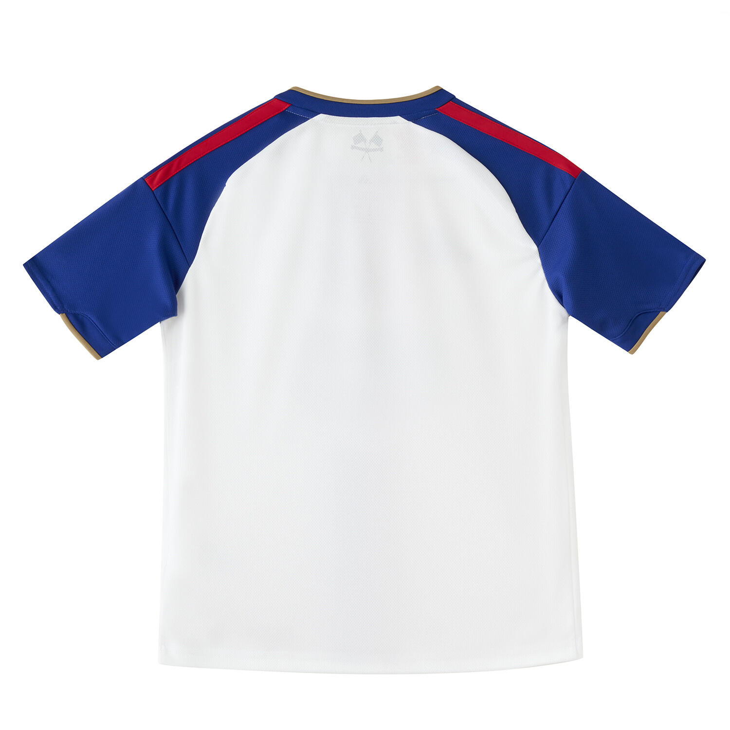Maillot Domicile OL Lyonnes Enfant 26-27 2/5