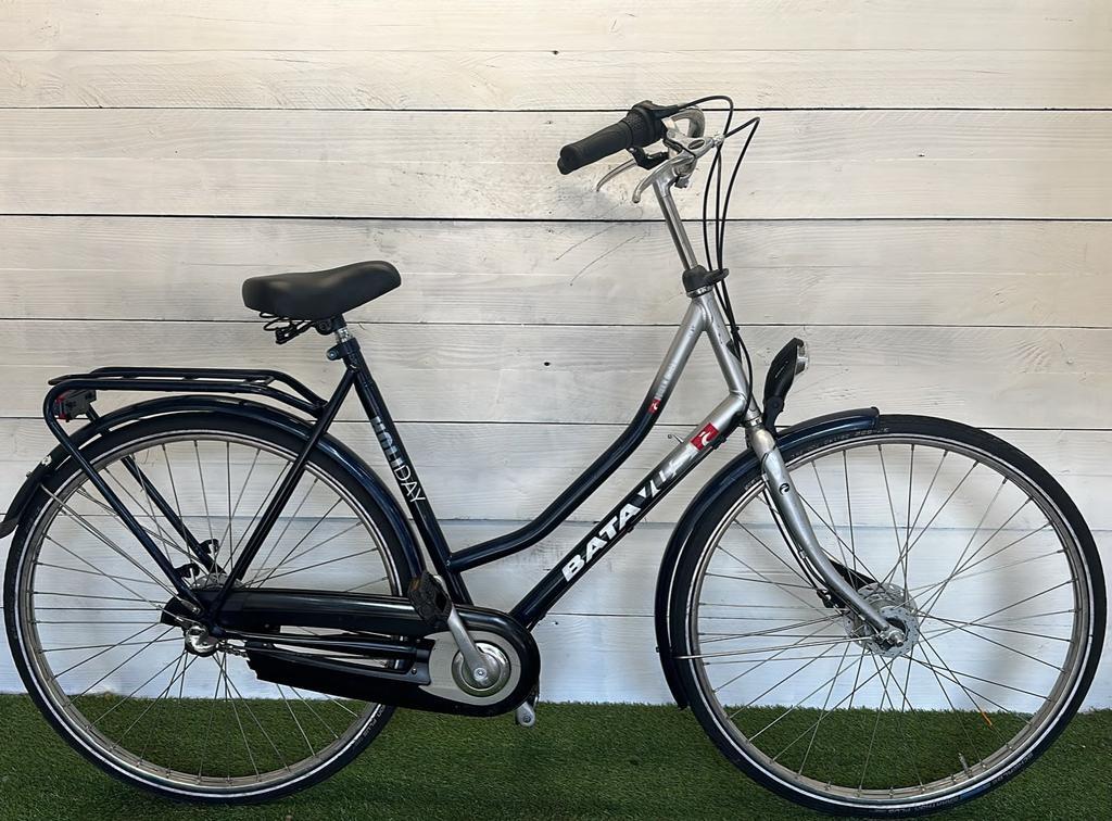 BATAVUS picture