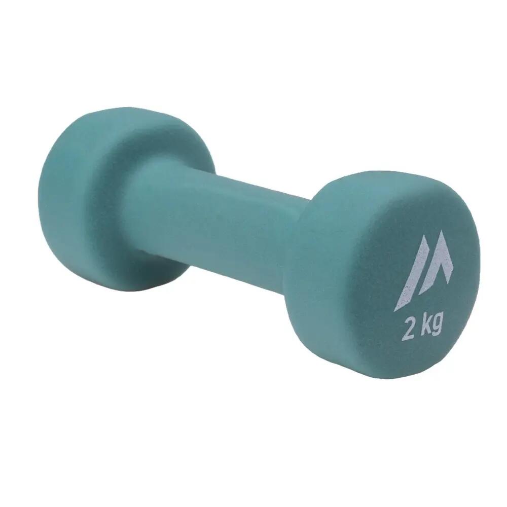 Dynamos Dumbbell (Dusty Green) 2/3